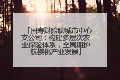 国寿财险聊城市中心支公司：构建多层次农业保险体系，全周期护航樱桃产业发展