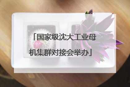 国家级沈大工业母机集群对接会举办