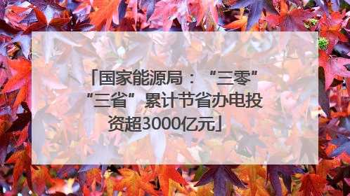 国家能源局：“三零”“三省”累计节省办电投资超3000亿元