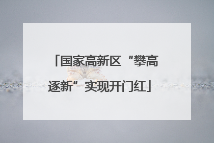 国家高新区“攀高逐新”实现开门红