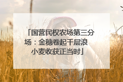 国营民权农场第三分场：金穗卷起千层浪 小麦收获正当时