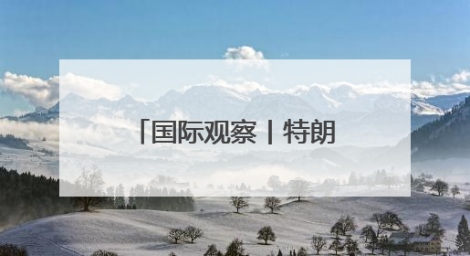 国际观察丨特朗普政府接受豪华赠机引发争议
