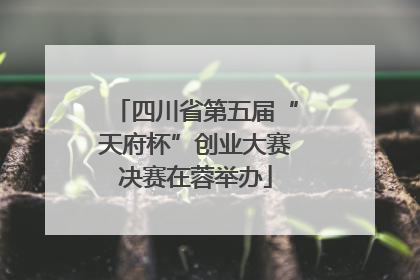 四川省第五届“天府杯”创业大赛决赛在蓉举办