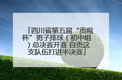 四川省第五届“贡嘎杯”男子排球（初中组）总决赛开赛 自贡这支队伍打进半决赛