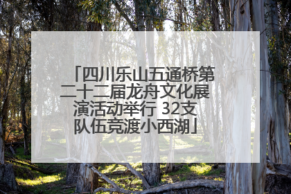 四川乐山五通桥第二十二届龙舟文化展演活动举行 32支队伍竞渡小西湖