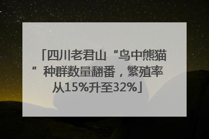 四川老君山“鸟中熊猫”种群数量翻番，繁殖率从15%升至32%