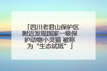 四川老君山保护区附近发现国家一级保护动物小灵猫 被称为“生态试纸”