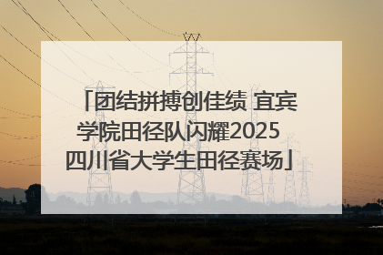 团结拼搏创佳绩 宜宾学院田径队闪耀2025四川省大学生田径赛场