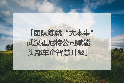 团队练就“大本事” 武汉霍尼特公司赋能头部车企智慧升级