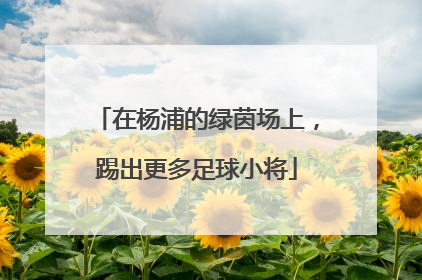 在杨浦的绿茵场上，踢出更多足球小将