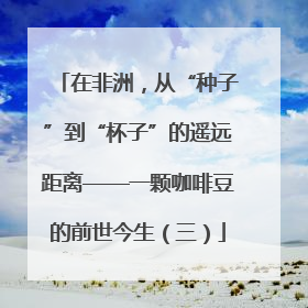 在非洲，从“种子”到“杯子”的遥远距离——一颗咖啡豆的前世今生（三）