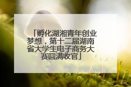 孵化湖湘青年创业梦想，第十二届湖南省大学生电子商务大赛圆满收官