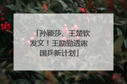 孙颖莎、王楚钦发文！王励勤透露国乒新计划