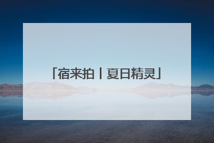 宿来拍丨夏日精灵