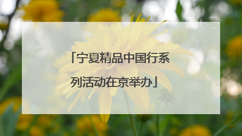 宁夏精品中国行系列活动在京举办