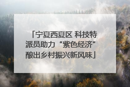 宁夏西夏区 科技特派员助力“紫色经济”酿出乡村振兴新风味