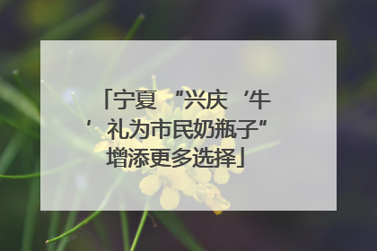 宁夏 “兴庆‘牛’礼为市民奶瓶子”增添更多选择