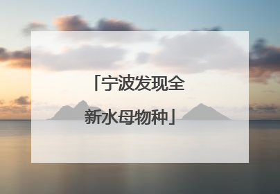 宁波发现全新水母物种