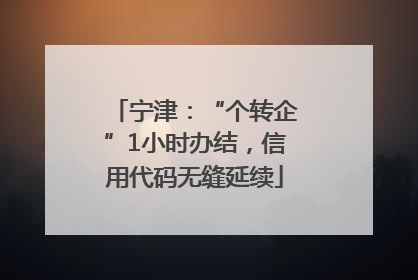 宁津：“个转企”1小时办结，信用代码无缝延续