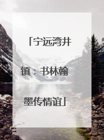 宁远湾井镇：书林翰墨传情谊