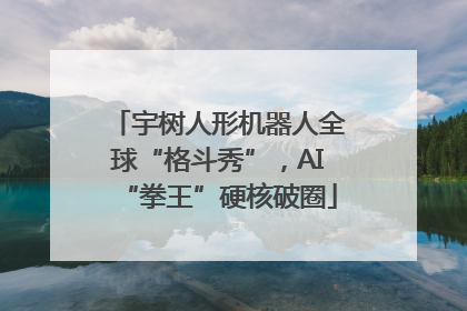 宇树人形机器人全球“格斗秀”，AI“拳王”硬核破圈