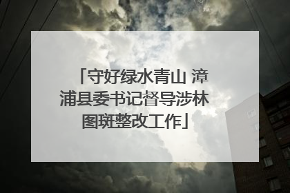 守好绿水青山 漳浦县委书记督导涉林图斑整改工作