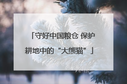 守好中国粮仓 保护耕地中的“大熊猫”