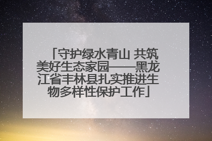 守护绿水青山 共筑美好生态家园——黑龙江省丰林县扎实推进生物多样性保护工作