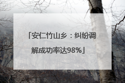 安仁竹山乡：纠纷调解成功率达98%