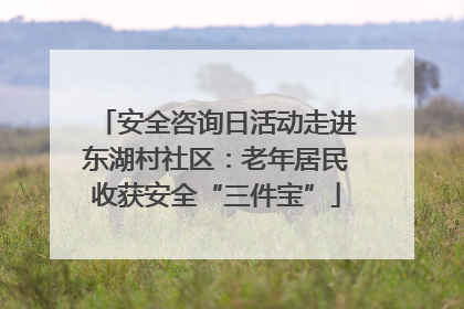 安全咨询日活动走进东湖村社区：老年居民收获安全“三件宝”