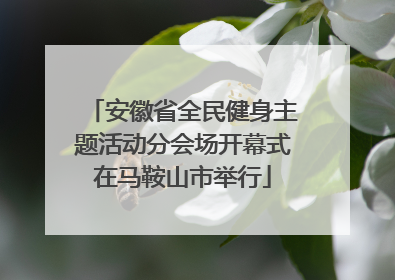 安徽省全民健身主题活动分会场开幕式在马鞍山市举行