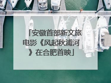 安徽首部新文旅电影《风起秋浦河》在合肥首映