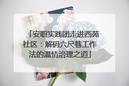 安职实践团走进西苑社区：解码六尺巷工作法的温情治理之道