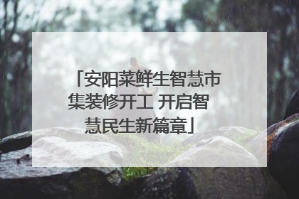 安阳菜鲜生智慧市集装修开工 开启智慧民生新篇章