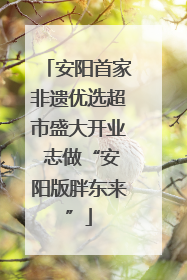 安阳首家非遗优选超市盛大开业 志做“安阳版胖东来”