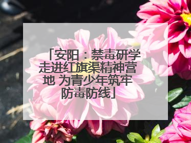 安阳：禁毒研学走进红旗渠精神营地 为青少年筑牢防毒防线
