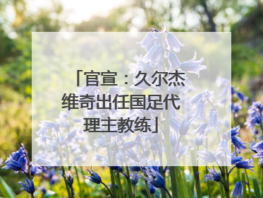官宣：久尔杰维奇出任国足代理主教练