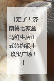 定了！济南第七家盒马鲜生店正式签约银丰玖玺广场！