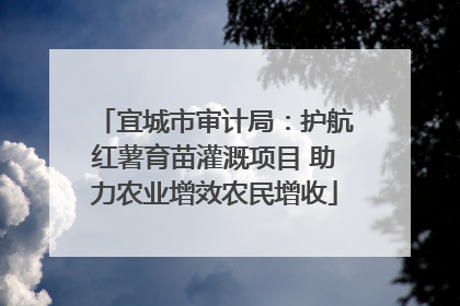 宜城市审计局：护航红薯育苗灌溉项目 助力农业增效农民增收