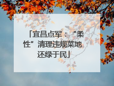 宜昌点军：“柔性”清理违规菜地 还绿于民