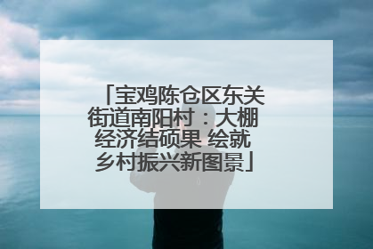宝鸡陈仓区东关街道南阳村：大棚经济结硕果 绘就乡村振兴新图景