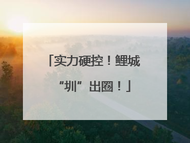 实力硬控！鲤城“圳”出圈！