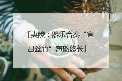 夷陵：器乐合奏“宜昌丝竹”声韵悠长