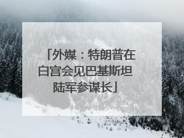 外媒：特朗普在白宫会见巴基斯坦陆军参谋长