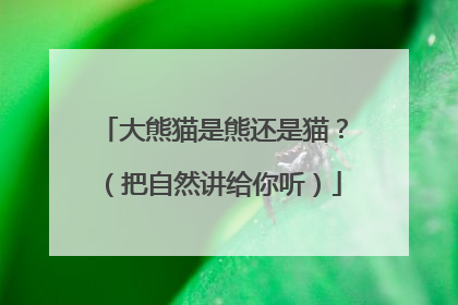 大熊猫是熊还是猫？（把自然讲给你听）