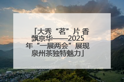 大秀“茗”片 香飘京华——2025年“一展两会”展现泉州茶独特魅力