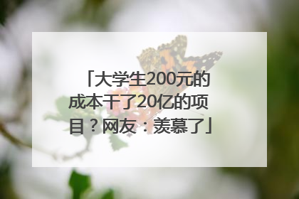 大学生200元的成本干了20亿的项目？网友：羡慕了