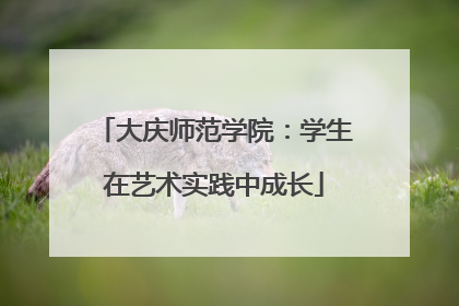 大庆师范学院：学生在艺术实践中成长
