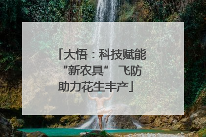大悟：科技赋能“新农具” 飞防助力花生丰产