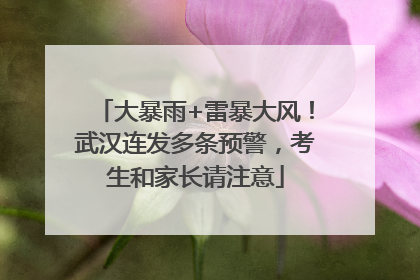 大暴雨+雷暴大风！武汉连发多条预警，考生和家长请注意